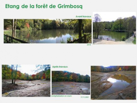 D'UN PAYSAGE DE PARC URBAIN À UNE ZONE HUMIDE EN COEUR DE MASSIF FORESTIER