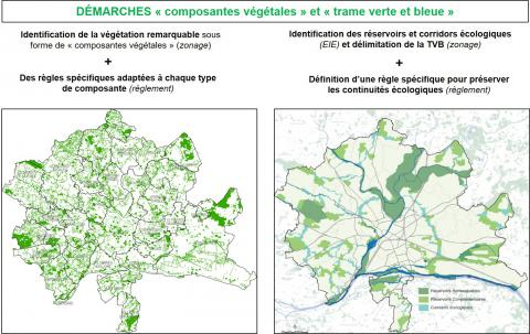 IDENTIFIER ET PRÉSERVER LES COMPOSANTES PAYSAGÈRES EN LIEN AVEC LA DÉFINITION DE LA TRAME VERTE ET BLEUE AU SEIN DU PLUI D'ANGERS LOIRE MÉTROPOLE