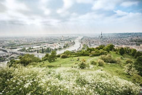 RESTAURATION ET GESTION DES COTEAUX DE LA MÉTROPOLE DE ROUEN, NOTAMMENT GRÂCE À L'ÉCOPÂTURAGE