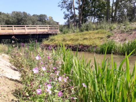 AMÉNAGEMENTS ÉCOLOGIQUES ET PAYSAGERS DES BERGES DE L'OISE À MAURECOURT