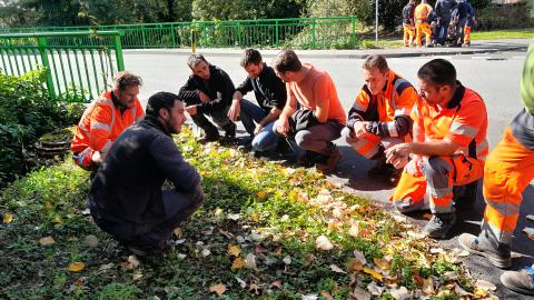 RECONNAISSANCE ET GESTION DE LA FLORE LOCALE POUR LE FLEURISSEMENT DE L’ESPACE URBAIN ET LES CIMETIÈRES