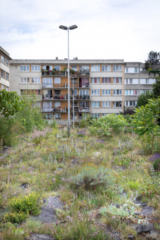 Jardin Joyeux Aubervilliers