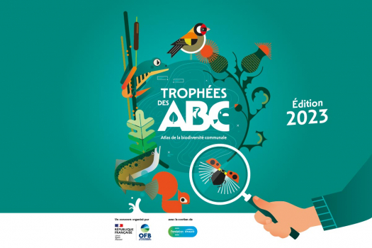 trophée ABC