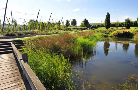 Parc de la Seille