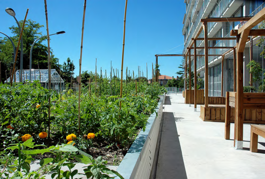 Création d’une ferme urbaine sur dalle dans le cadre d’un habitat participatif