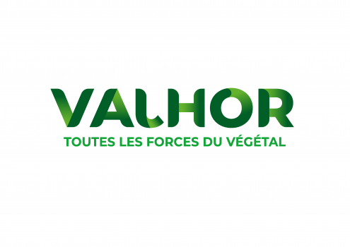logo VALHOR