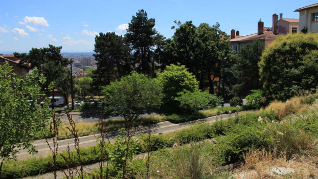 Pour une ville vivante et vivable, Renaturons! : mettre en œuvre la nature en ville