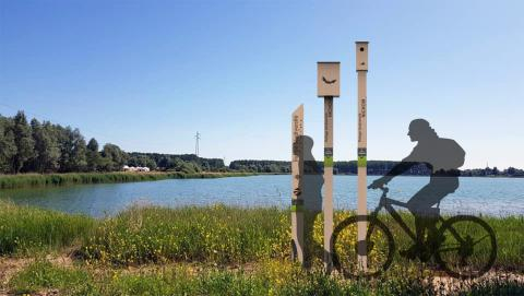 PLAN 200 000 ARBRES : L'ARBRE, NOTRE MEILLEUR AMI