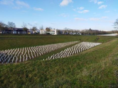 PLANTATION DES BASSINS DE GESTION D'EAUX PLUVIALES