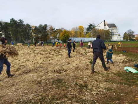 CONSTRUCTION PARTICIPATIVE D'UN BOISEMENT URBAIN