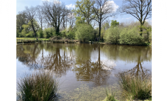 mare cpie Grand Lieu