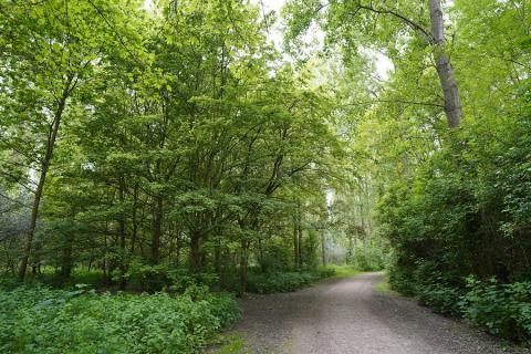 ORIENTATION D'AMÉNAGEMENT ET DE PROGRAMMATION THÉMATIQUE "PAYSAGE ET BIODIVERSITÉ" DU PLUI-HD DE LA CUD