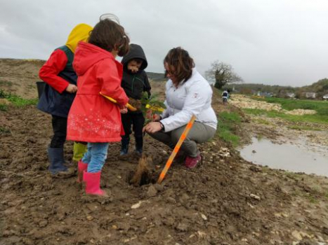 Chinon PROGRAMME 'REPLANTONS POUR LA BIODIVERSITÉ DANS LE CHINONAIS'