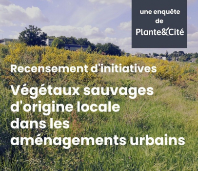 questionnaire végétal local