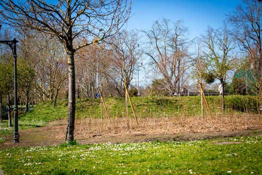 Coup d'oeil sur les micros forêts