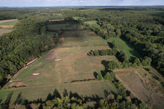 Restauration des habitats naturels en Nouvelle-Aquitaine : que disent les retours d’expériences ?