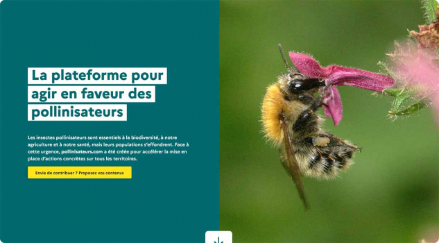 pollinisateurs.com