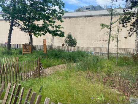 EcoJardin 2025