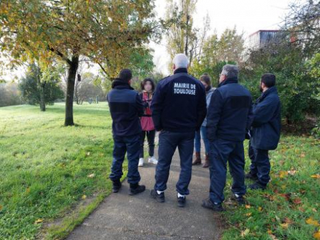 Des nichoirs dans la ville