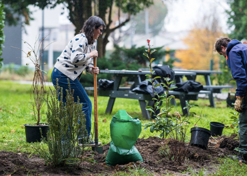 Face au changement climatique, faut-il réinventer nos forêts ?
