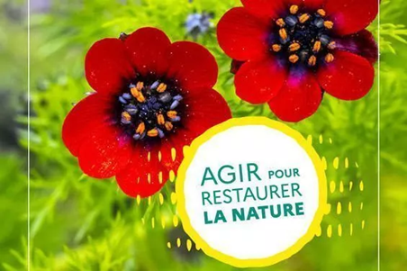 Agir pour restaurer la nature