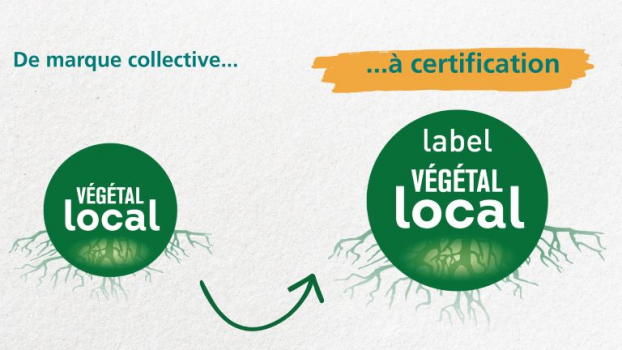 végétal local