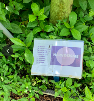 Plantothèque
