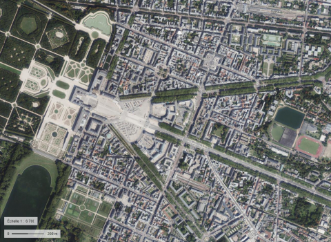 Versailles alignements d'arbres
