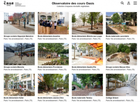 Cours Oasis