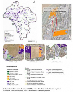 Étude de la biodiversité et de la fonctionnalité des corridors écologiques