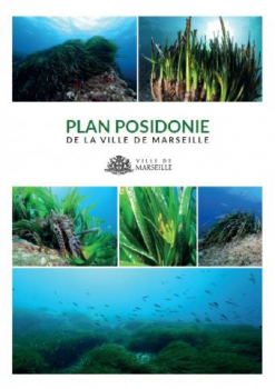 posidonie