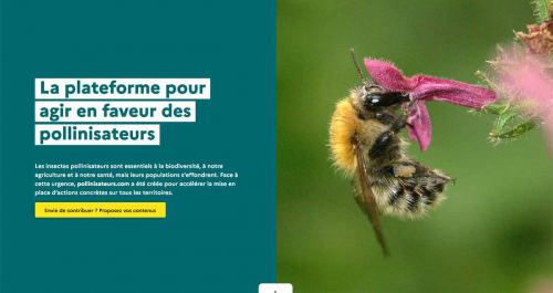 pollinisateurs.com