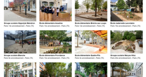 Cours Oasis