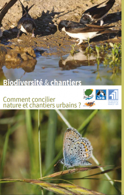 Biodiversité &amp; chantiers - Comment concilier nature et chantiers urbains ?