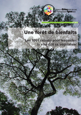 Forêt de bienfaits