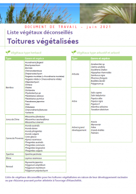 liste végétaux Avignon