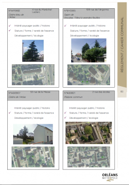 cahier communal Orléans