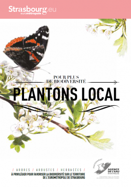 plantons local