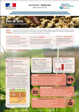 Les notes nationales Biodiversité / Santé des agrosystèmes : Vers de terre, Abeilles sauvages, Flore des bords des champs