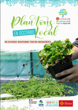 Plantons local Occitanie