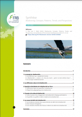 La biodiversité : concepts, tendances, menaces et perspectives