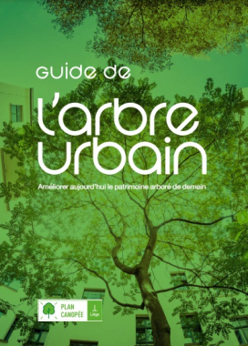 l'arbre urbain