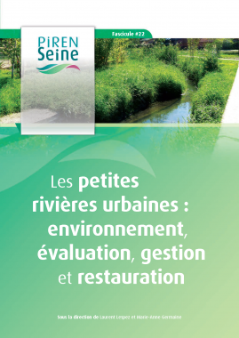 PIREN SEINE