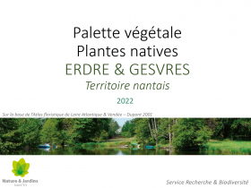 Palette végétale pour ripisylve en territoire nantais 