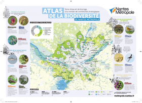 ABC : cartes de synthèse des espèces et milieux emblématiques - Nantes Métropole