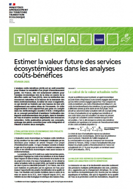 Estimer la valeur future des services écosystémiques dans les analyses coûts-bénéfices