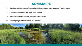 favoriser la biodiversité dans nos fermes