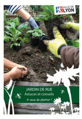 Jardin de rue