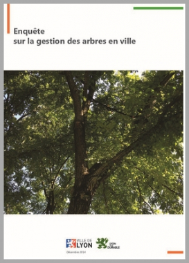 Enquête sur la gestion des arbres en ville