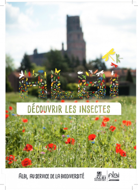 albi insectes